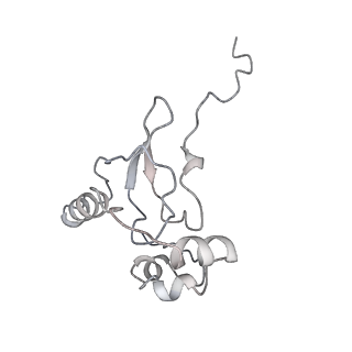 22198_6xir_AF_v1-2
Cryo-EM Structure of K63 Ubiquitinated Yeast Translocating Ribosome under Oxidative Stress