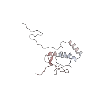 22198_6xir_AG_v1-2
Cryo-EM Structure of K63 Ubiquitinated Yeast Translocating Ribosome under Oxidative Stress