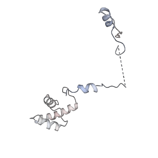 22198_6xir_AH_v1-2
Cryo-EM Structure of K63 Ubiquitinated Yeast Translocating Ribosome under Oxidative Stress