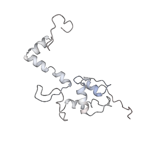 22198_6xir_AI_v1-2
Cryo-EM Structure of K63 Ubiquitinated Yeast Translocating Ribosome under Oxidative Stress