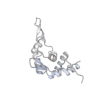 22198_6xir_AJ_v1-2
Cryo-EM Structure of K63 Ubiquitinated Yeast Translocating Ribosome under Oxidative Stress
