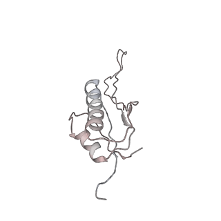 22198_6xir_AK_v1-2
Cryo-EM Structure of K63 Ubiquitinated Yeast Translocating Ribosome under Oxidative Stress