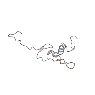 22198_6xir_AL_v1-2
Cryo-EM Structure of K63 Ubiquitinated Yeast Translocating Ribosome under Oxidative Stress