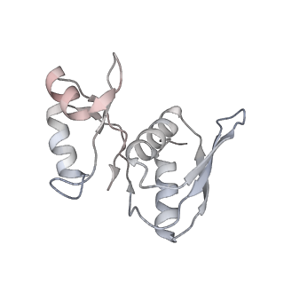 22198_6xir_AM_v1-2
Cryo-EM Structure of K63 Ubiquitinated Yeast Translocating Ribosome under Oxidative Stress