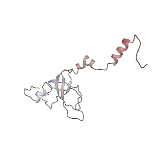 22198_6xir_AN_v1-2
Cryo-EM Structure of K63 Ubiquitinated Yeast Translocating Ribosome under Oxidative Stress