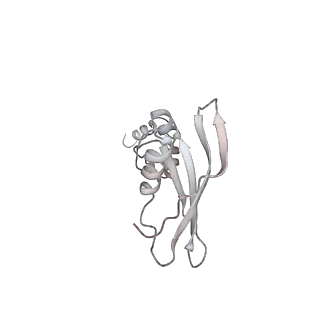 22198_6xir_AO_v1-2
Cryo-EM Structure of K63 Ubiquitinated Yeast Translocating Ribosome under Oxidative Stress