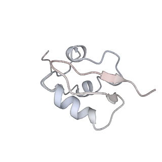 22198_6xir_AP_v1-2
Cryo-EM Structure of K63 Ubiquitinated Yeast Translocating Ribosome under Oxidative Stress