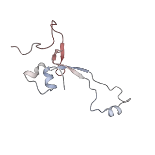 22198_6xir_AQ_v1-2
Cryo-EM Structure of K63 Ubiquitinated Yeast Translocating Ribosome under Oxidative Stress