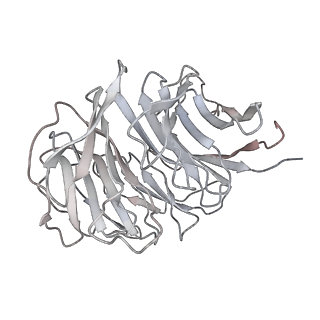 22198_6xir_AV_v1-2
Cryo-EM Structure of K63 Ubiquitinated Yeast Translocating Ribosome under Oxidative Stress