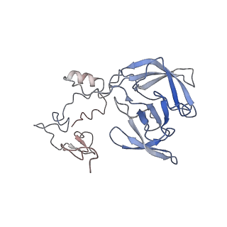 22198_6xir_A_v1-2
Cryo-EM Structure of K63 Ubiquitinated Yeast Translocating Ribosome under Oxidative Stress