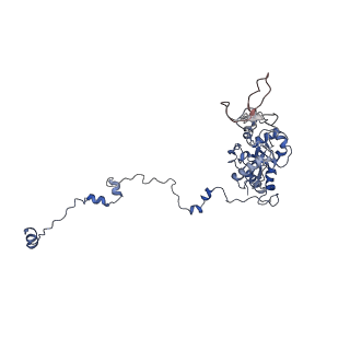 22198_6xir_C_v1-2
Cryo-EM Structure of K63 Ubiquitinated Yeast Translocating Ribosome under Oxidative Stress