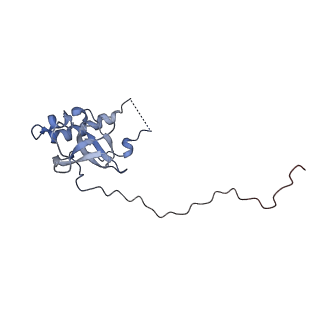 22198_6xir_E_v1-2
Cryo-EM Structure of K63 Ubiquitinated Yeast Translocating Ribosome under Oxidative Stress