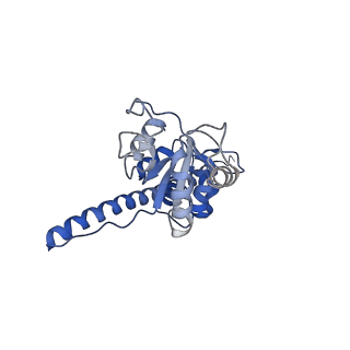 22198_6xir_F_v1-2
Cryo-EM Structure of K63 Ubiquitinated Yeast Translocating Ribosome under Oxidative Stress