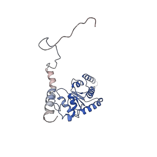 22198_6xir_G_v1-2
Cryo-EM Structure of K63 Ubiquitinated Yeast Translocating Ribosome under Oxidative Stress