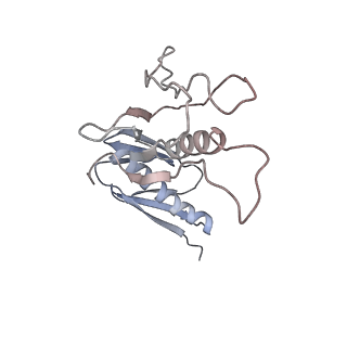 22198_6xir_H_v1-2
Cryo-EM Structure of K63 Ubiquitinated Yeast Translocating Ribosome under Oxidative Stress