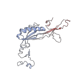 22198_6xir_I_v1-2
Cryo-EM Structure of K63 Ubiquitinated Yeast Translocating Ribosome under Oxidative Stress