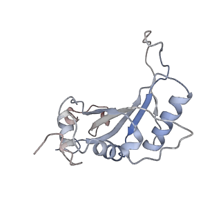 22198_6xir_J_v1-2
Cryo-EM Structure of K63 Ubiquitinated Yeast Translocating Ribosome under Oxidative Stress