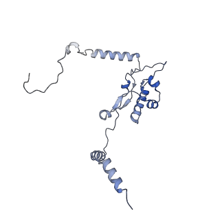 22198_6xir_L_v1-2
Cryo-EM Structure of K63 Ubiquitinated Yeast Translocating Ribosome under Oxidative Stress