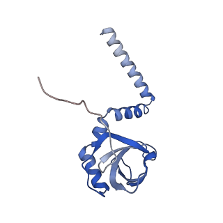 22198_6xir_M_v1-2
Cryo-EM Structure of K63 Ubiquitinated Yeast Translocating Ribosome under Oxidative Stress