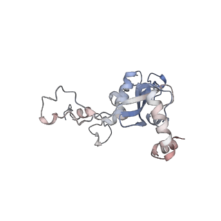 22198_6xir_N_v1-2
Cryo-EM Structure of K63 Ubiquitinated Yeast Translocating Ribosome under Oxidative Stress