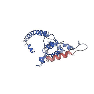 22198_6xir_O_v1-2
Cryo-EM Structure of K63 Ubiquitinated Yeast Translocating Ribosome under Oxidative Stress