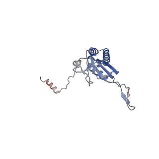 22198_6xir_P_v1-2
Cryo-EM Structure of K63 Ubiquitinated Yeast Translocating Ribosome under Oxidative Stress