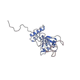 22198_6xir_Q_v1-2
Cryo-EM Structure of K63 Ubiquitinated Yeast Translocating Ribosome under Oxidative Stress