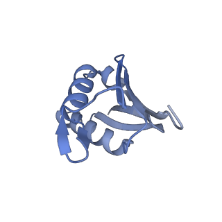 22198_6xir_U_v1-2
Cryo-EM Structure of K63 Ubiquitinated Yeast Translocating Ribosome under Oxidative Stress