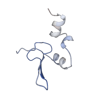 22198_6xir_W_v1-2
Cryo-EM Structure of K63 Ubiquitinated Yeast Translocating Ribosome under Oxidative Stress