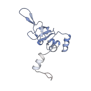 22198_6xir_Y_v1-2
Cryo-EM Structure of K63 Ubiquitinated Yeast Translocating Ribosome under Oxidative Stress