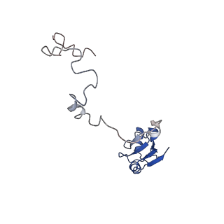 22198_6xir_a_v1-2
Cryo-EM Structure of K63 Ubiquitinated Yeast Translocating Ribosome under Oxidative Stress