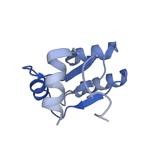 22198_6xir_c_v1-2
Cryo-EM Structure of K63 Ubiquitinated Yeast Translocating Ribosome under Oxidative Stress
