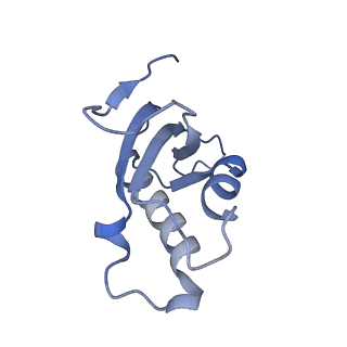 22198_6xir_d_v1-2
Cryo-EM Structure of K63 Ubiquitinated Yeast Translocating Ribosome under Oxidative Stress