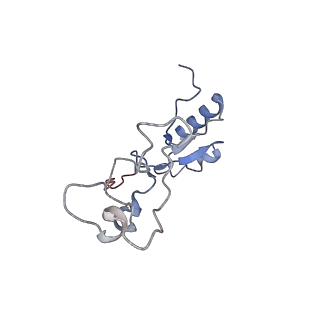 22198_6xir_e_v1-2
Cryo-EM Structure of K63 Ubiquitinated Yeast Translocating Ribosome under Oxidative Stress