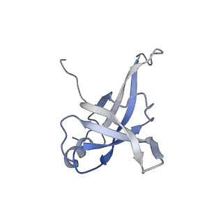 22198_6xir_f_v1-2
Cryo-EM Structure of K63 Ubiquitinated Yeast Translocating Ribosome under Oxidative Stress