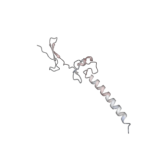 22198_6xir_g_v1-2
Cryo-EM Structure of K63 Ubiquitinated Yeast Translocating Ribosome under Oxidative Stress