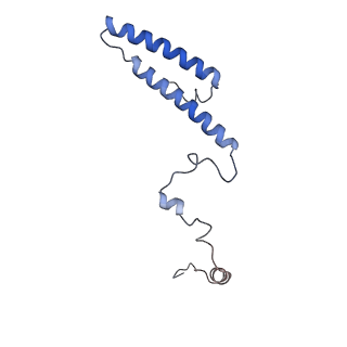 22198_6xir_h_v1-2
Cryo-EM Structure of K63 Ubiquitinated Yeast Translocating Ribosome under Oxidative Stress