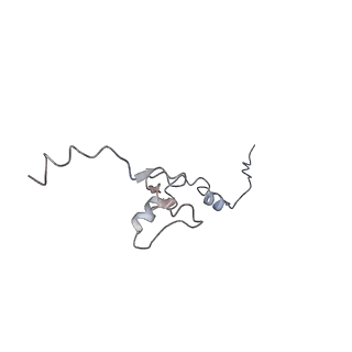22198_6xir_j_v1-2
Cryo-EM Structure of K63 Ubiquitinated Yeast Translocating Ribosome under Oxidative Stress