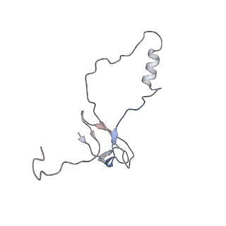 22198_6xir_o_v1-2
Cryo-EM Structure of K63 Ubiquitinated Yeast Translocating Ribosome under Oxidative Stress