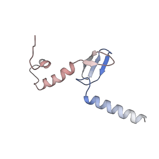 22198_6xir_p_v1-2
Cryo-EM Structure of K63 Ubiquitinated Yeast Translocating Ribosome under Oxidative Stress