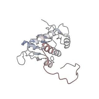 22198_6xir_q_v1-2
Cryo-EM Structure of K63 Ubiquitinated Yeast Translocating Ribosome under Oxidative Stress