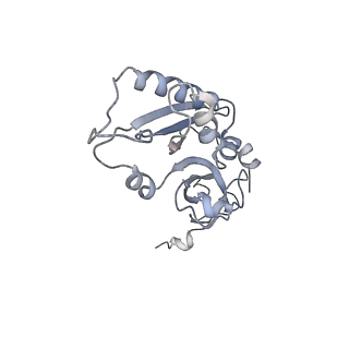 22198_6xir_r_v1-2
Cryo-EM Structure of K63 Ubiquitinated Yeast Translocating Ribosome under Oxidative Stress