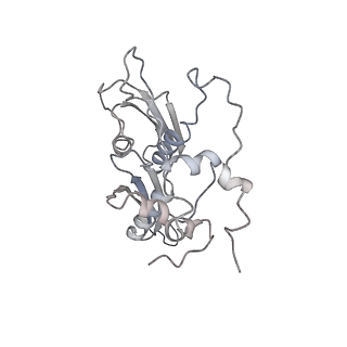 22198_6xir_s_v1-2
Cryo-EM Structure of K63 Ubiquitinated Yeast Translocating Ribosome under Oxidative Stress