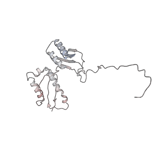 22198_6xir_t_v1-2
Cryo-EM Structure of K63 Ubiquitinated Yeast Translocating Ribosome under Oxidative Stress