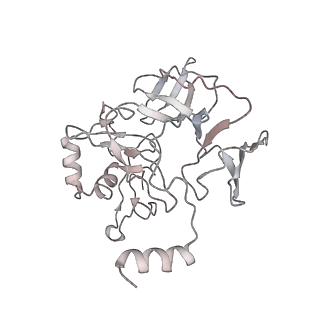 22198_6xir_u_v1-2
Cryo-EM Structure of K63 Ubiquitinated Yeast Translocating Ribosome under Oxidative Stress