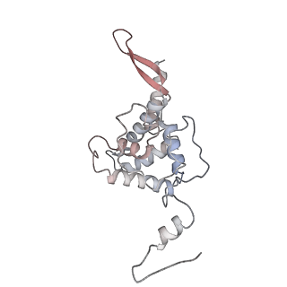 22198_6xir_v_v1-2
Cryo-EM Structure of K63 Ubiquitinated Yeast Translocating Ribosome under Oxidative Stress