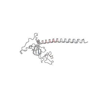 22198_6xir_w_v1-2
Cryo-EM Structure of K63 Ubiquitinated Yeast Translocating Ribosome under Oxidative Stress