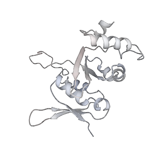 22198_6xir_x_v1-2
Cryo-EM Structure of K63 Ubiquitinated Yeast Translocating Ribosome under Oxidative Stress
