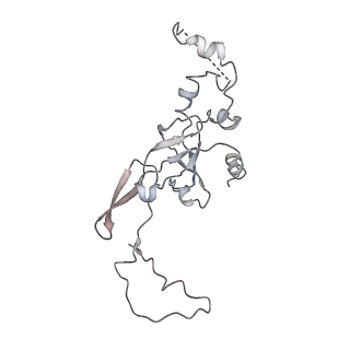 22198_6xir_y_v1-2
Cryo-EM Structure of K63 Ubiquitinated Yeast Translocating Ribosome under Oxidative Stress
