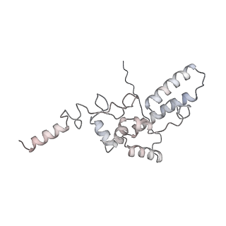 22198_6xir_z_v1-2
Cryo-EM Structure of K63 Ubiquitinated Yeast Translocating Ribosome under Oxidative Stress